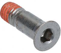 Shimano Guide Pulley Bolt (M5 x13.95)