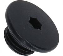 Shimano  Bleed screw and O-ring
