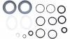 Sram AM Fork Service Kit, Basic (includes dust seals, foam rings, o-ring seals) - Revelation Dual Air (2012)

