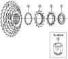 Shimano CS Cassette / Zahnkranz  CS-HG30-Kassettenzahnkranz 7-fach / ac-Gruppe