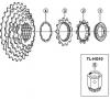 Shimano CS Cassette / Zahnkranz  CS-HG30-I Cassette Sprocket 7-Speed / ac-Group