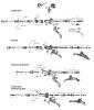Sram   XX (2010-2011) / XX WORLD CUP (2011-2014) - HYDRAULIC DISC BRAKE - LEVERS